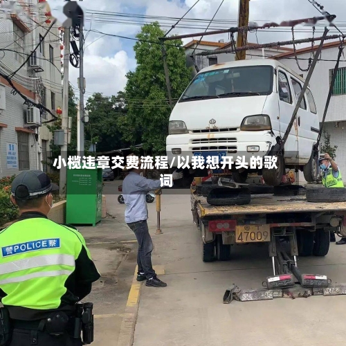 小榄违章交费流程/以我想开头的歌词