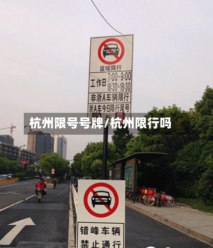 杭州限号号牌/杭州限行吗