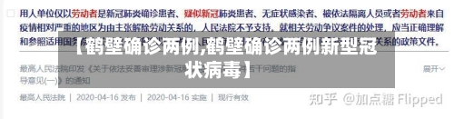 【鹤壁确诊两例,鹤壁确诊两例新型冠状病毒】