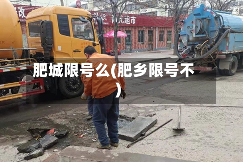 肥城限号么(肥乡限号不)
