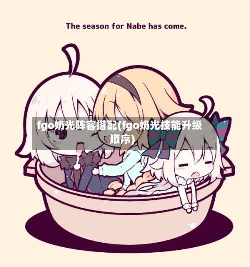 fgo奶光阵容搭配(fgo奶光技能升级顺序)