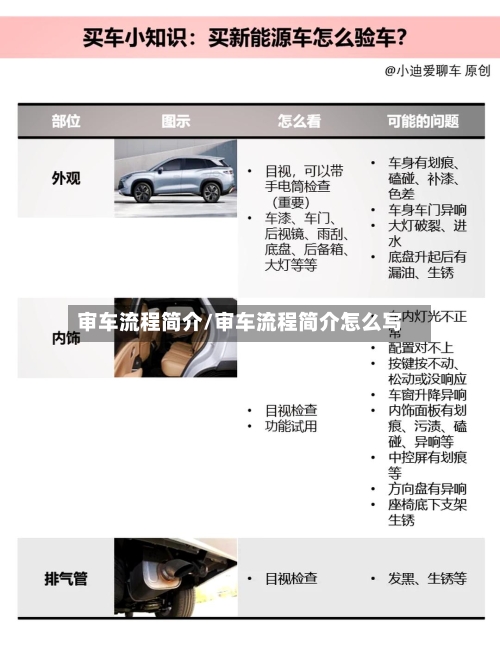 审车流程简介/审车流程简介怎么写