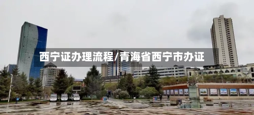 西宁证办理流程/青海省西宁市办证