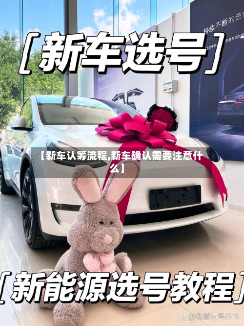 【新车认筹流程,新车确认需要注意什么】