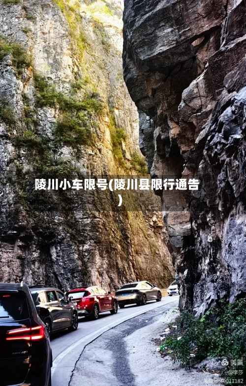 陵川小车限号(陵川县限行通告)