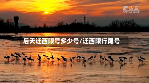 后天迁西限号多少号/迁西限行尾号
