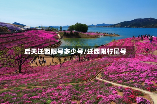 后天迁西限号多少号/迁西限行尾号