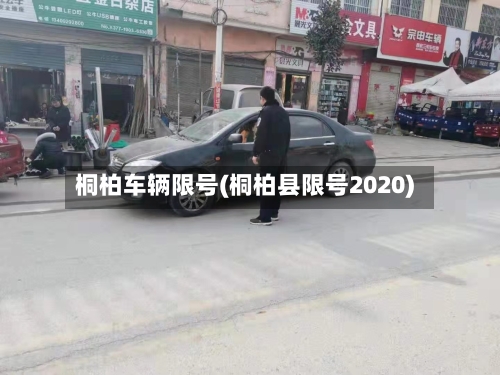 桐柏车辆限号(桐柏县限号2020)