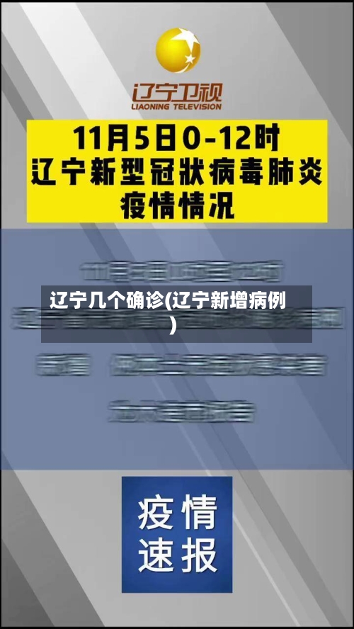 辽宁几个确诊(辽宁新增病例)