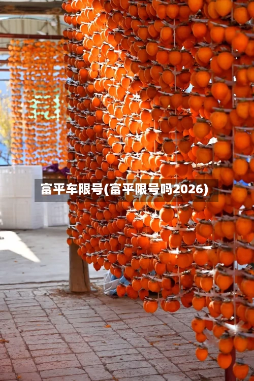 富平车限号(富平限号吗2026)