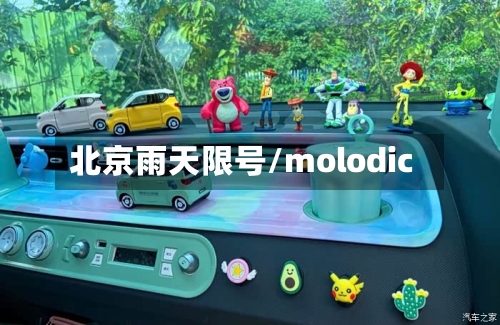 北京雨天限号/molodic