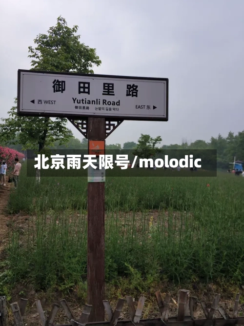 北京雨天限号/molodic