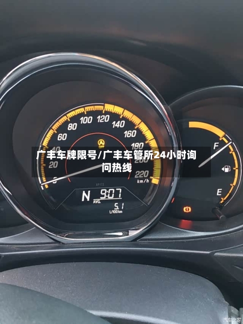 广丰车牌限号/广丰车管所24小时询问热线