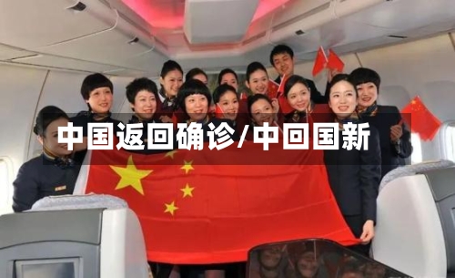 中国返回确诊/中回国新
