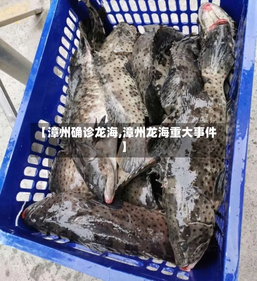 【漳州确诊龙海,漳州龙海重大事件】