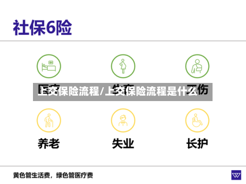 上交保险流程/上交保险流程是什么