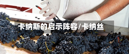 卡纳斯的启示阵容/卡纳丝