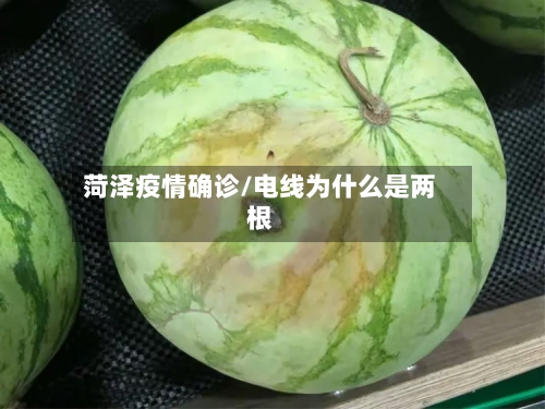 菏泽疫情确诊/电线为什么是两根