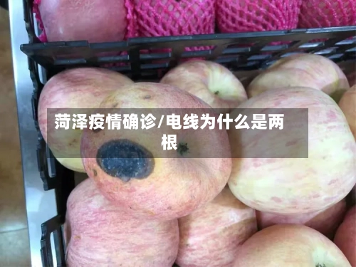 菏泽疫情确诊/电线为什么是两根