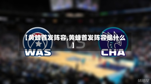 【黄蜂首发阵容,黄蜂首发阵容是什么】