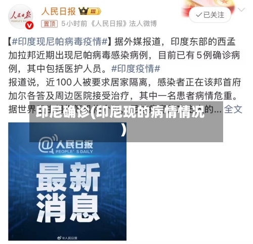 印尼确诊(印尼现的病情情况)
