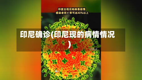 印尼确诊(印尼现的病情情况)
