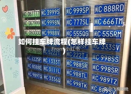 如何挂车牌流程(怎样挂车牌)