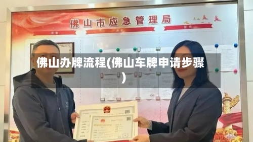 佛山办牌流程(佛山车牌申请步骤)
