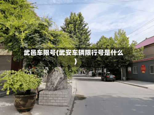 武邑车限号(武安车辆限行号是什么)