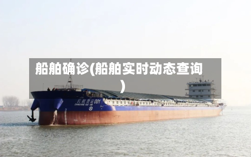 船舶确诊(船舶实时动态查询)