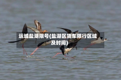 运城盐湖限号(盐湖区货车限行区域及时间)