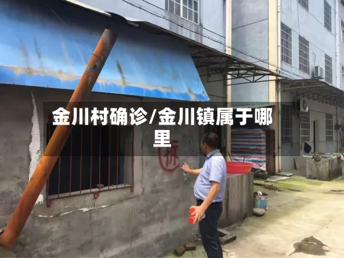 金川村确诊/金川镇属于哪里
