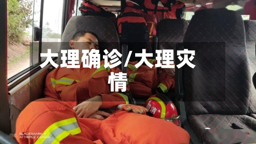 大理确诊/大理灾情