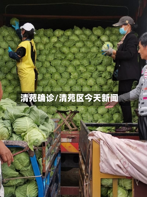 清苑确诊/清苑区今天新闻