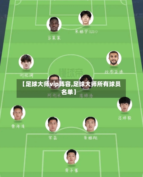 【足球大师vip阵容,足球大师所有球员名单】