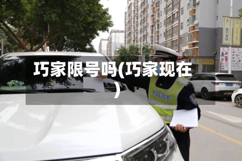 巧家限号吗(巧家现在)