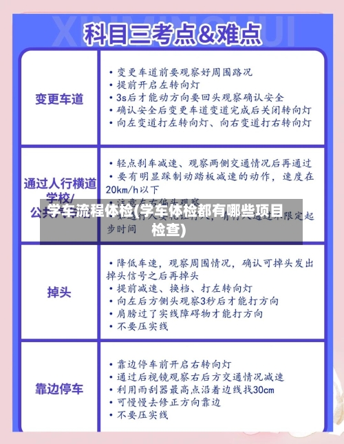 学车流程体检(学车体检都有哪些项目检查)