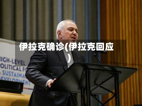 伊拉克确诊(伊拉克回应)
