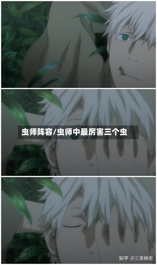 虫师阵容/虫师中最厉害三个虫